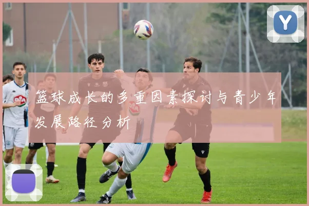 篮球成长的多重因素探讨与青少年发展路径分析
