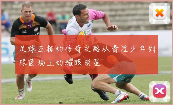足球王栋的传奇之路从青涩少年到绿茵场上的耀眼明星