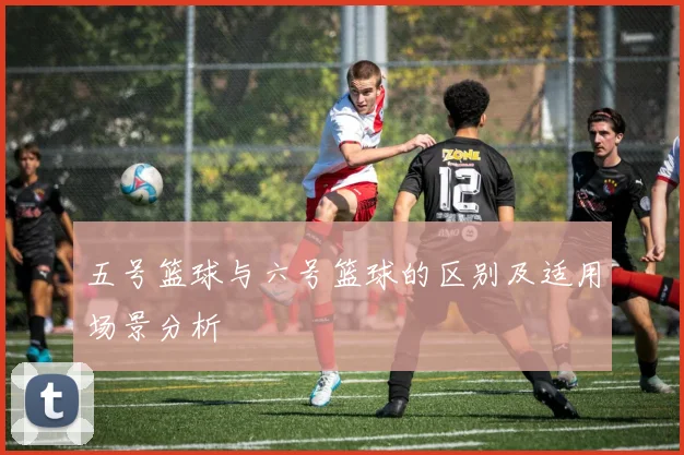 五号篮球与六号篮球的区别及适用场景分析