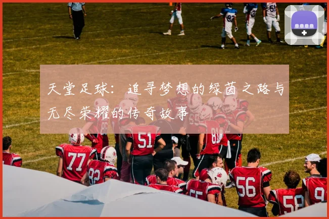 天堂足球：追寻梦想的绿茵之路与无尽荣耀的传奇故事