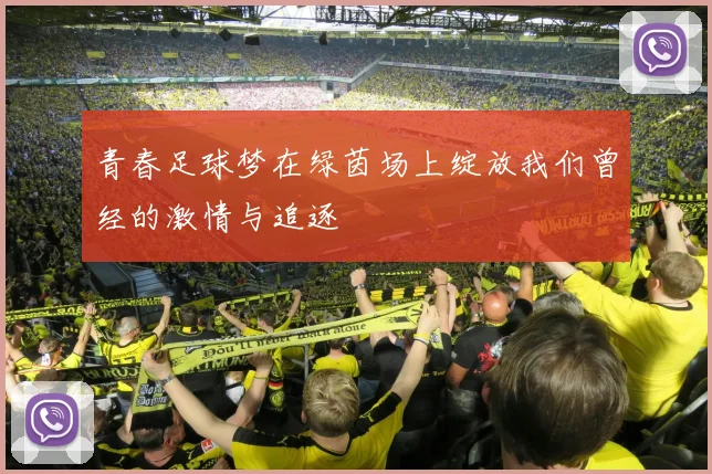 青春足球梦在绿茵场上绽放我们曾经的激情与追逐